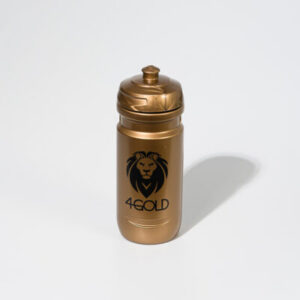 4GOLD GOLDEN BOTTLE 600ML