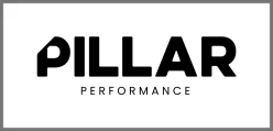 Pillar logo website (2)